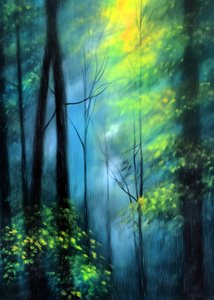 La lueur de la forêt enchantée - Justyna Jaszke