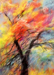 Un arbre aux couleurs chatoyantes en automne - Justyna Jaszke