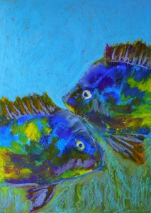Poissons tropicaux vibrants
