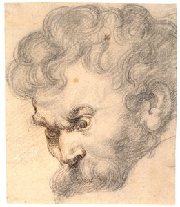 Étude de "Samson et le lion". Visage de Samson