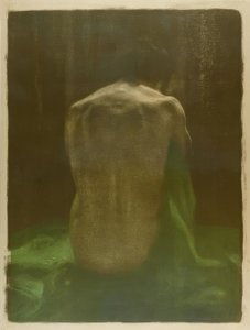 Nu féminin de dos sur tissu vert