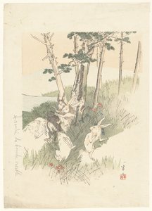 Lapins et une taupe - Kajita Hanko