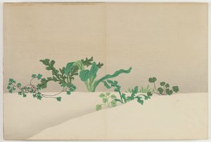 Fleurs de cent mondes : Sept herbes du début du printemps - Kamisaka Sekka