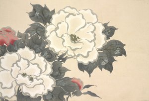 Fukami-Gusa, de Momoyo-gusa (Le monde des choses) Vol I, pub.1909 - Kamisaka Sekka