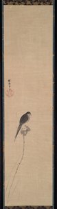 Oiseau sur un bouton de lotus - Kanō Tan’yū