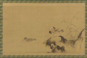 Canards mandarins dans un paysage