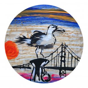 Observation des mouettes du Golden Gate