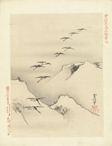 Oies volant au-dessus des montagnes