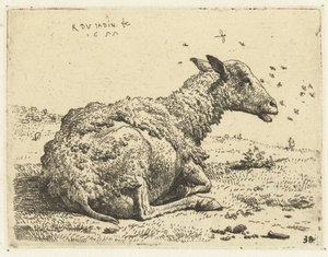 Mouton couché avec des mouches