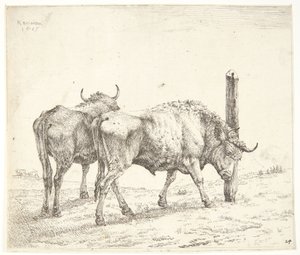 Les deux bœufs