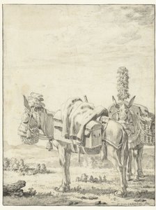 Deux mules - Karel Du Jardin
