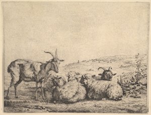 Deux chèvres et trois moutons, 1655