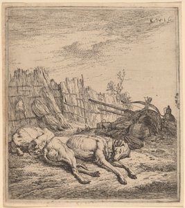 Chiens de Chasse - Karel Dujardin