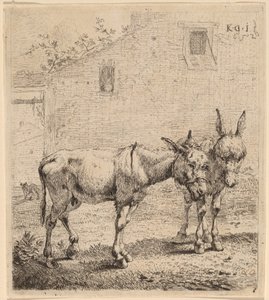 Deux ânes - Karel Dujardin