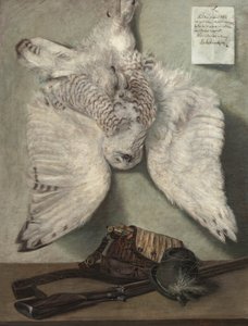 Hibou des neiges - Karel Purkyne