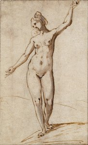 Female Nude - Karel Van Mander