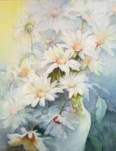Chrysanthème, Snowcap - Karen Armitage