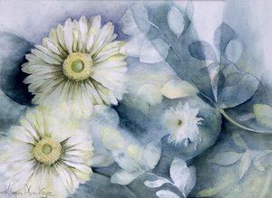 Gerbera Jameson II - Karen Armitage