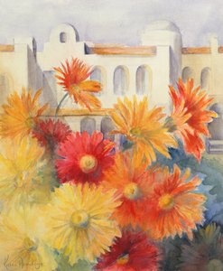Gerberas