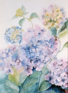 Hortensia, Vague bleue I
