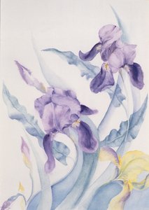 Iris, bleu Mare
