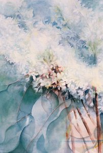 Lilas, Maud Norcut
