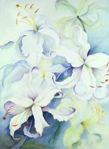 Lilium, Or Impérial - Karen Armitage