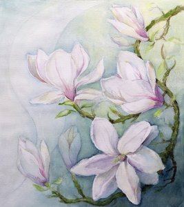 Magnolias - Karen Armitage