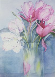 Tulipes perroquet roses et Marlette