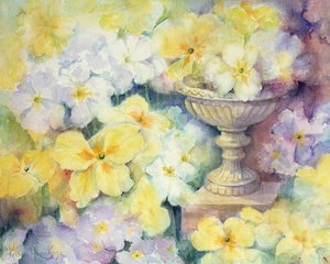 Polyanthus à Hurst