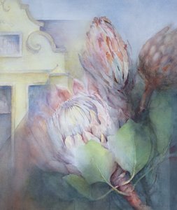 Protea à Stellenbosch - Karen Armitage