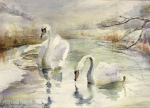 Cygnes en hiver - Karen Armitage
