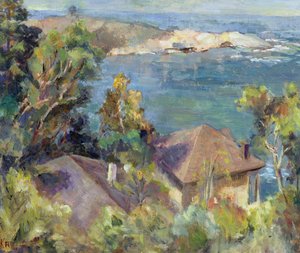 Zapellar, Chili - Karen Armitage