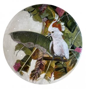 Un cacatoès blanc dans la jungle - Karenina Fabrizzi