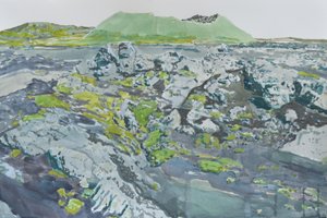 Paysage volcanique moussu