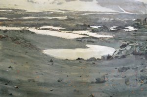 Paysage de la toundra austère