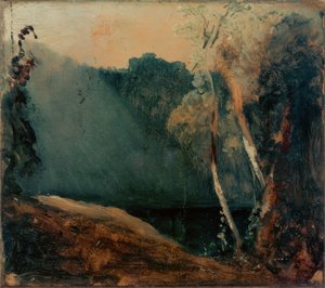 Forêt et lac