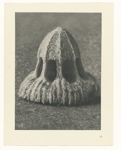 Études de plantes (série Urformen der Kunst: photographies de plantes) - Karl Blossfeldt