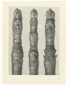 Étude de plante (Urformen der Kunst) - Karl Blossfeldt