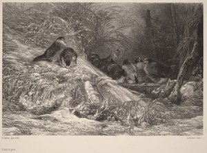  - Karl Bodmer