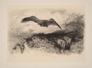  - Karl Bodmer