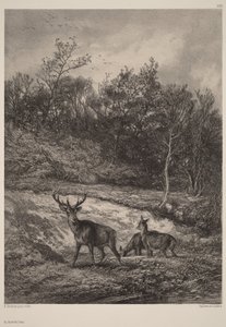  - Karl Bodmer