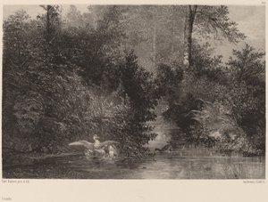 Canards