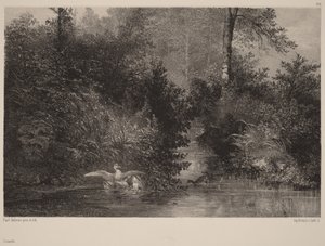  - Karl Bodmer