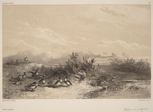  - Karl Bodmer