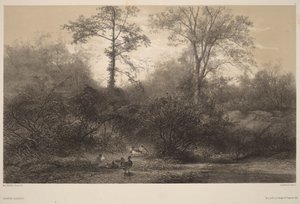  - Karl Bodmer