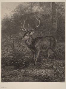  - Karl Bodmer