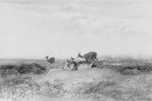  - Karl Bodmer
