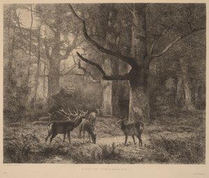 - Karl Bodmer