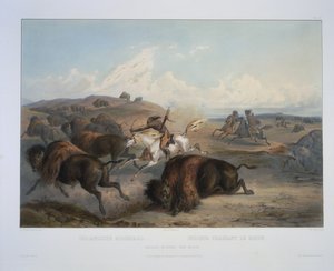 Indiens chassant le bison - Karl Bodmer